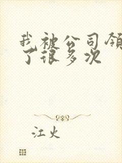 我被公司领导C了很多次