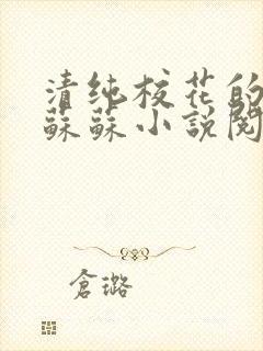 清纯校花的日常苏苏小说阅读全文