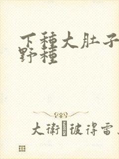 下种大肚子怀孕野种