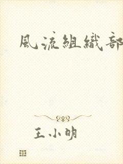 风流组织部长封面