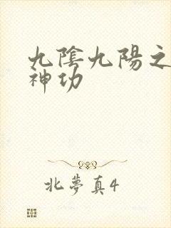 九阴九阳之阴阳神功