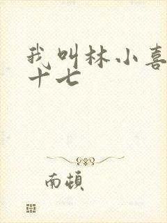 我叫林小喜今年十七