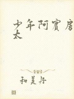 少年阿宾房东太太