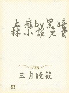 上瘾by黑暗森林小说免费封面