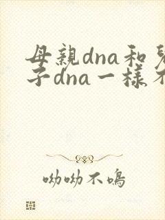 母亲dna和儿子dna一样不封面