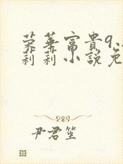 荣华富贵9小王莉莉小说免费阅读