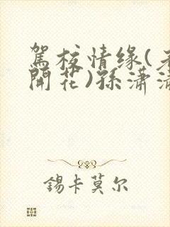 驾校情缘(老树开花)孙潇潇第一次趣笔阁封面