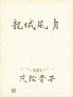 龙城风月