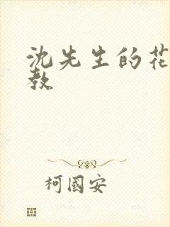 沈先生的花式调教封面