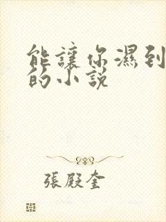 能让你湿到不行的小说