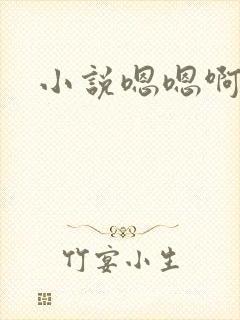小说嗯嗯啊啊
