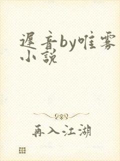 迟音by唯雾的小说