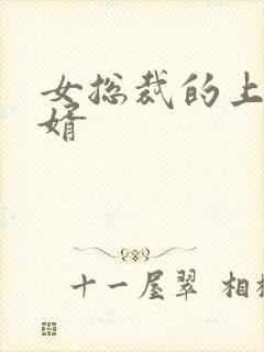 女总裁的上门女婿