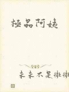 极品阿姨封面