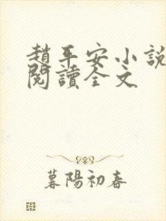 赵平安小说免费阅读全文