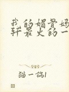 我的媚骨妈妈林轩最火的一句