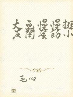 大龟慢慢挺进女友闺蜜的小说封面