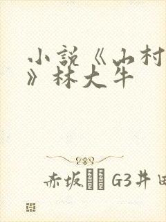 小说《山村情事》林大牛