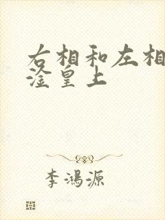 右相和左相一起淦皇上封面
