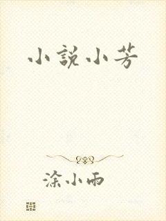 小说小芳