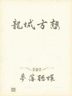 龙城方想封面