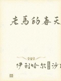 老马的春天敏静
