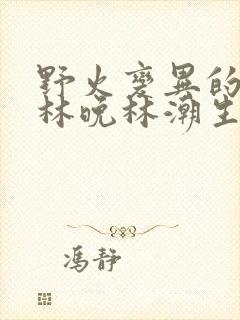 野火变异的父爱林晚林潮生封面