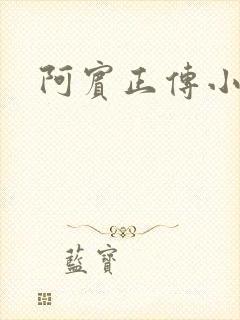 阿宾正传小说