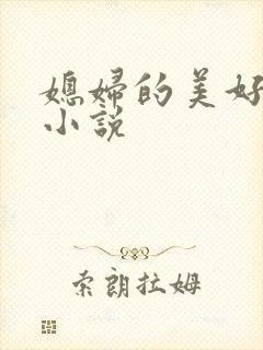 媳妇的美好时代小说