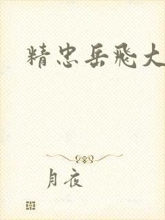 精忠岳飞大结局