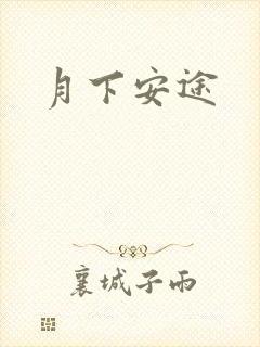 月下安途