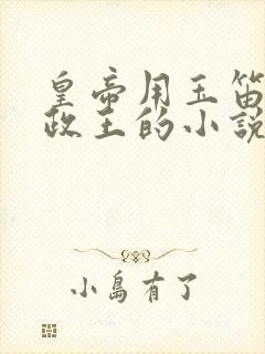 皇帝用玉笛整摄政王的小说