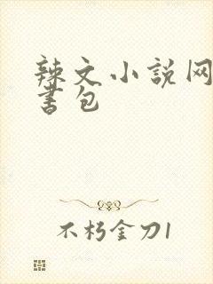 辣文小说网第二书包