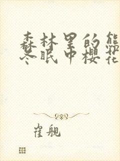 森林里的熊先生冬眠中樱花动漫封面