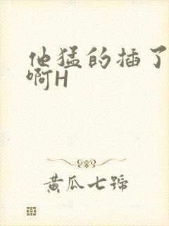 他猛的插了进去啊H