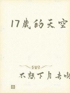 17岁的天空