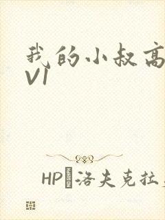 我的小叔高H1V1