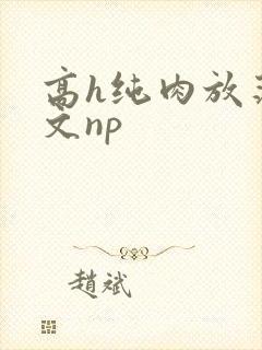 高h纯肉放荡h文np