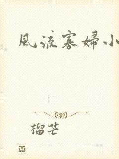 风流寡妇小说封面