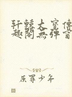 轩辕大宝传奇笔趣阁无弹窗