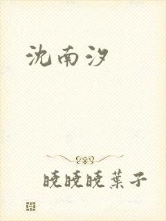 沈南汐封面