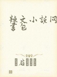 辣文小说网第二书包