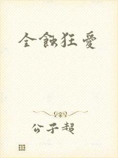 全蚀狂爱封面