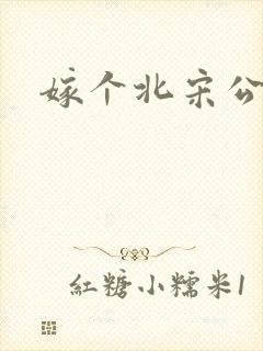 嫁个北宋公务员