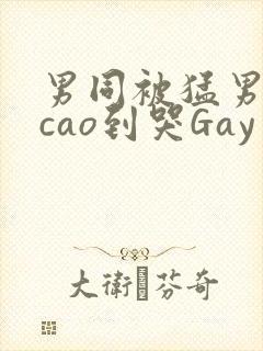 男同被猛男房东cao到哭Gay