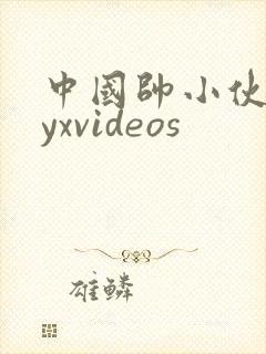 中国帅小伙gayxvideos