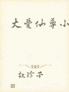 大爱仙尊小说