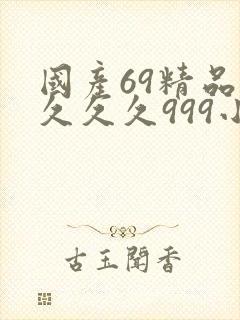 国产69精品久久久久999小说封面