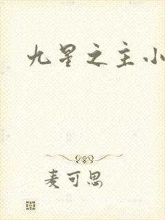 九星之主小说