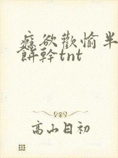 瘾欲欢愉半块小饼干tnt封面